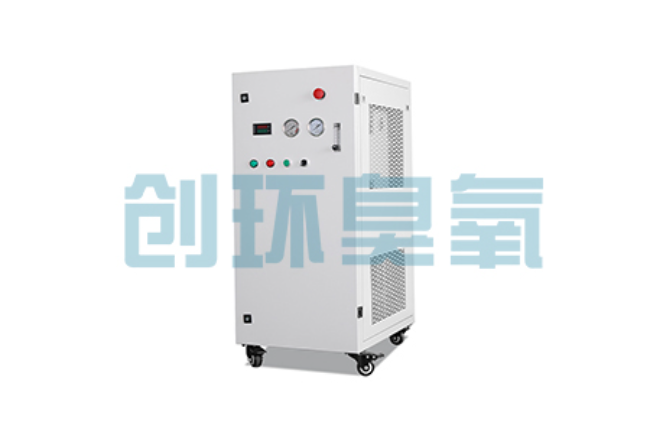 唐山比传统换水更高效?臭氧发生器在石斑鱼养殖中的水质净化原理解析